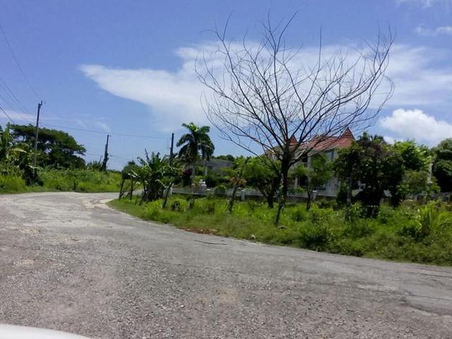 Residential Lot For Sale: #13 TOWER ISLE STREET, Tower Isle ...