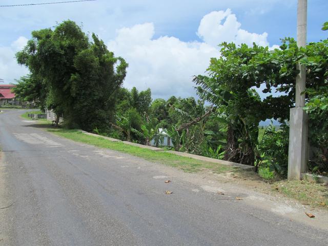 Residential Lot For Sale: Blackstoneedge St Ann, Blackstonedge 