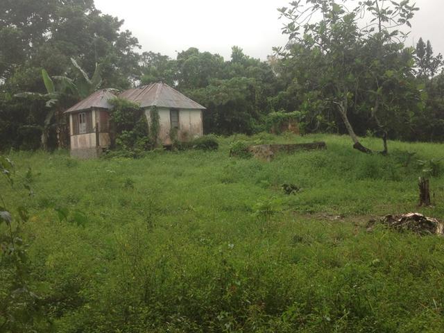 Residential Lot For Sale: PEDRO FARM, CLAREMONT, Claremount ...