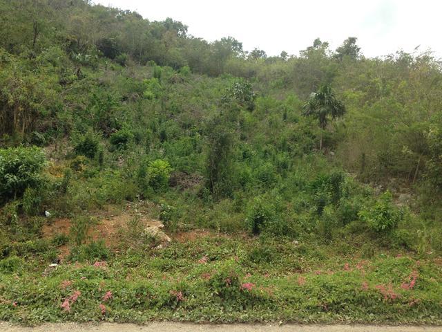 Residential Lot For Sale: LOT 27 MOUNT VIEW ESTATES, Spanish Town ...