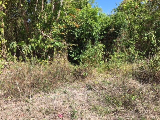 Residential Lot For Sale: SEAVIEW CRESCENT, Discovery Bay | $85,000 | Keez