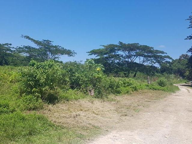 Residential Lot For Sale: HAUGHTON COURT, Lucea | $4,500,000 | Keez