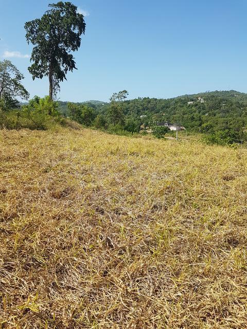 residential-lot-for-sale-pyramid-heights-ocho-rios-82-000-keez