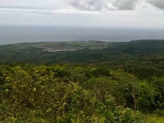 IMMOBILIEN LIMITED - Residential Lot for Sale USD $150000 - St. Ann's Bay  in St. Ann