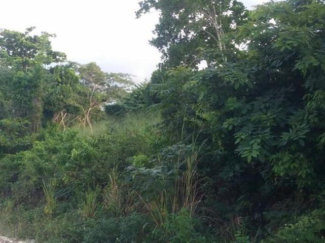 Residential Lot For Sale: TRYALL GARDENS, Sandy Bay | $8,500,000 | Keez