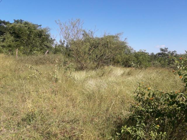 Residential Lot For Sale: LUANA, Black River | $2,900,000 | Keez