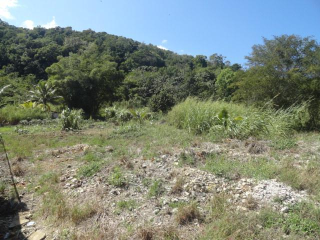 Commercial Lot For Sale: MOUNT CAREY, Anchovy | $145,000 | Keez