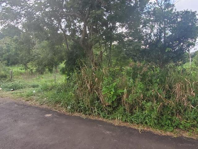 Residential Lot For Sale: SPUR TREE, Spur Tree | $12,000,000 | Keez