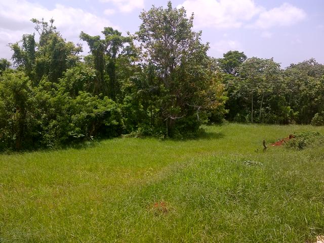 Residential Lot For Sale: MARSHALL CRESCENT MAY DAY, Mandeville ...