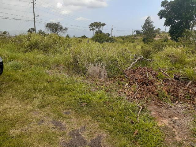 Residential Lot For Sale: SPUR TREE, Spur Tree | $6,500,000 | Keez