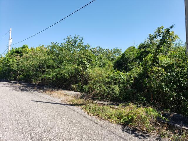 Residential Lot For Sale: HATSFIELD, IRONSHORE, Montego Bay | $90,000 ...