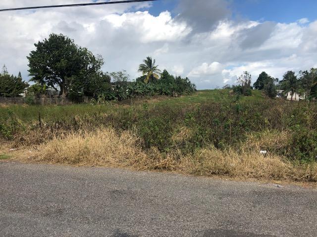 Development Land (residential) For Sale: West Road, Mandeville 