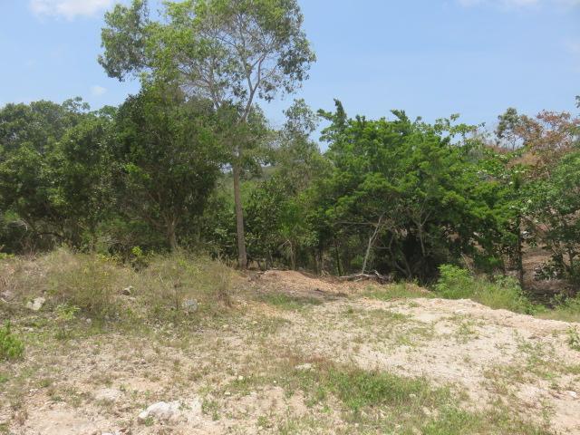 Residential Lot For Sale: 3 Clermont, Daniel Town, Falmouth 