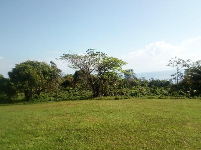 Development Land (Residential) For Sale: RETREAT, ORANGE BAY, Orange ...