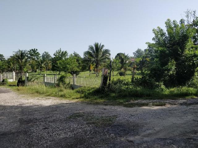 Development Land (Residential) For Sale: SWEET RIVER, Savanna-La-Mar ...