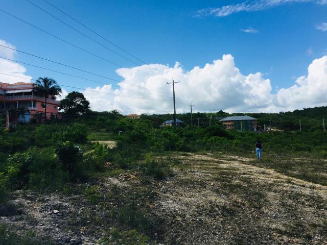 Residential Lot For Sale: TWIN PALMS ESTATE, May Pen | $5,000,000 | Keez