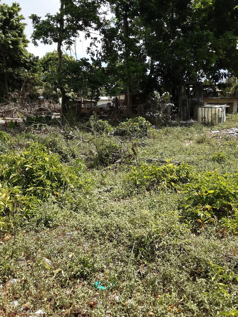 Residential Lot For Sale MAIN STREET, SEAFORTH, Seaforth 4,500,000