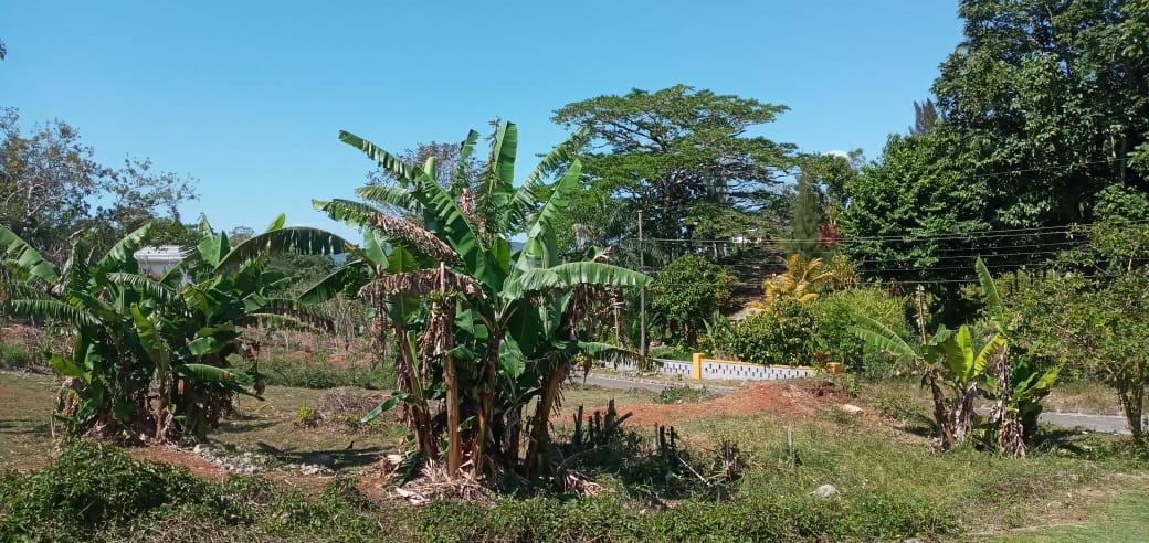 residential-lot-for-sale-mckinley-road-mandeville-8-000-000-keez