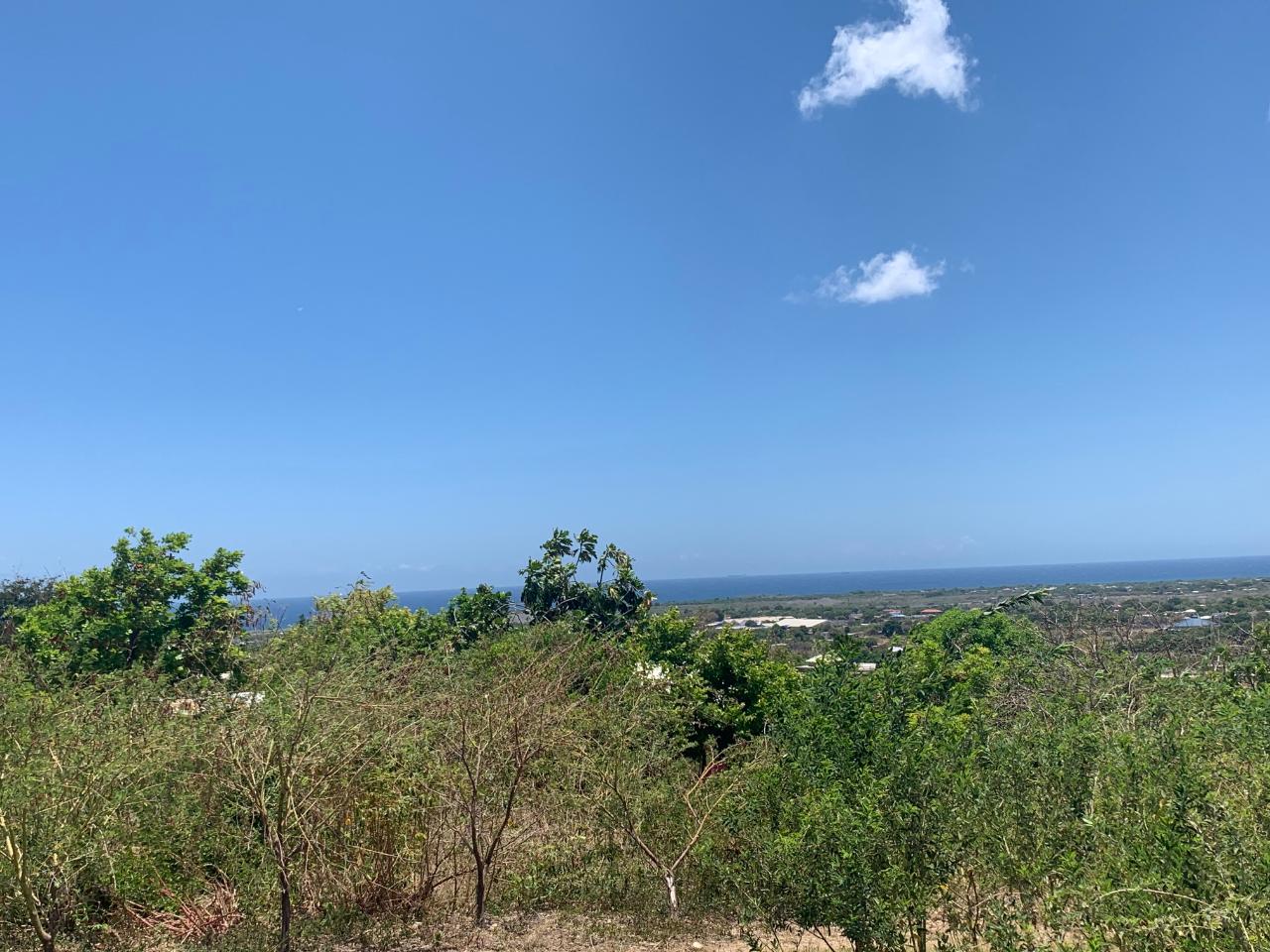 Development Land (Residential) For Sale BRIGHTON, Yallahs 9,300,000