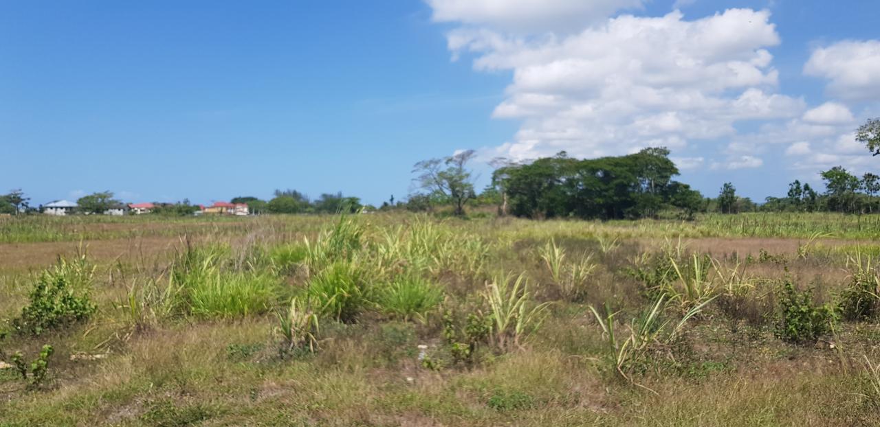Development Land (Residential) For Sale LEE PARK, SavannaLaMar