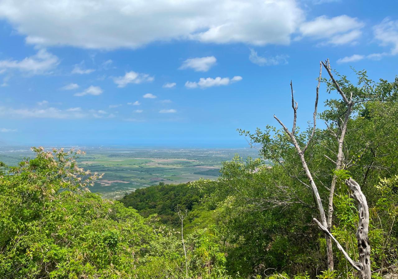 Development Land (Residential) For Sale MOUNT DAWSON, Sligoville