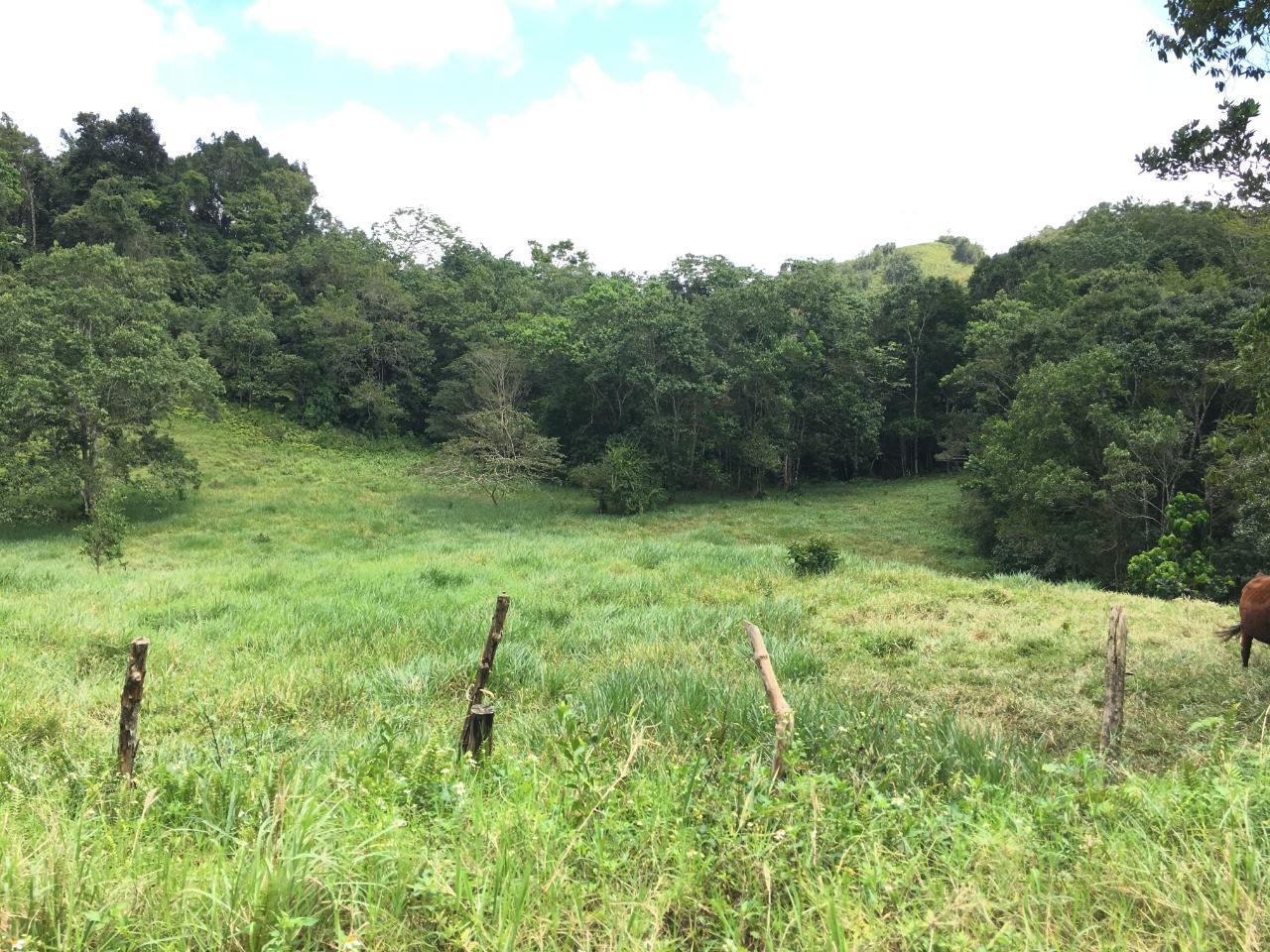 Development Land (Residential) For Sale CHIPPENHAM PARK, BAMBOO