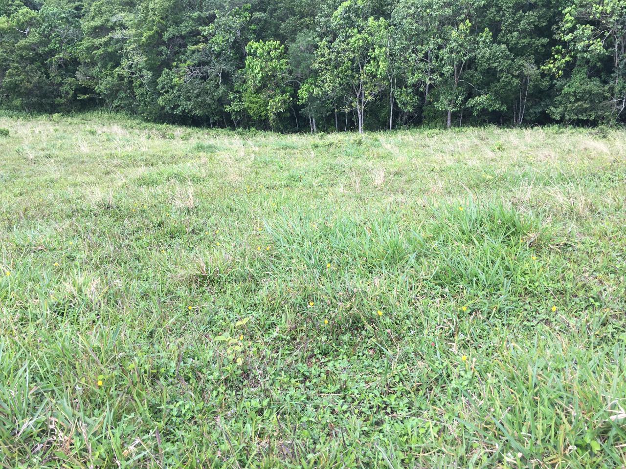 Development Land (Residential) For Sale CHIPPENHAM PARK, BAMBOO