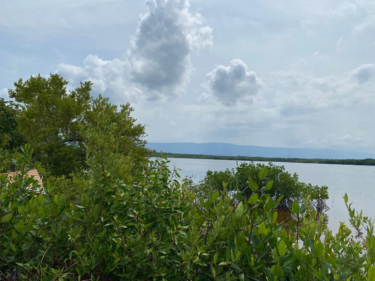 Residential Lot For Sale PAROTTEE ST. ELIZABETH, Black River