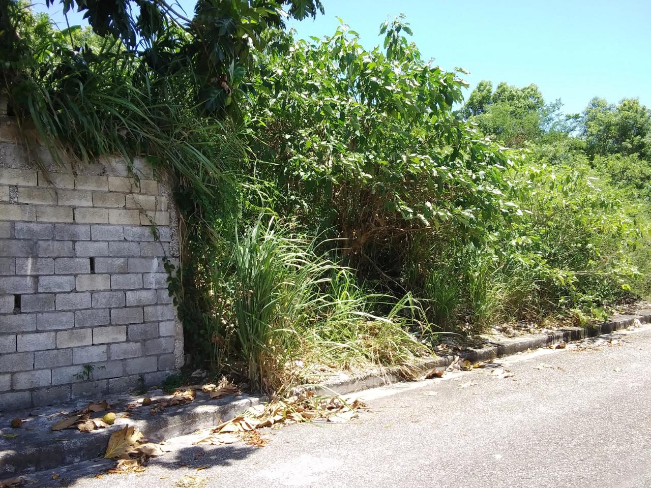 Residential Lot For Sale IRONSHORE, Montego Bay 85,000 Keez