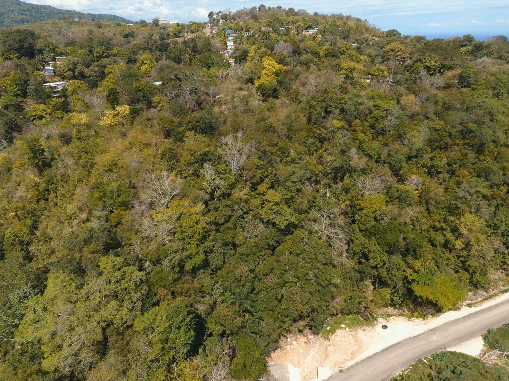 Development Land (Residential) For Sale ELTHAM MOUNTAIN, Ocho Rios