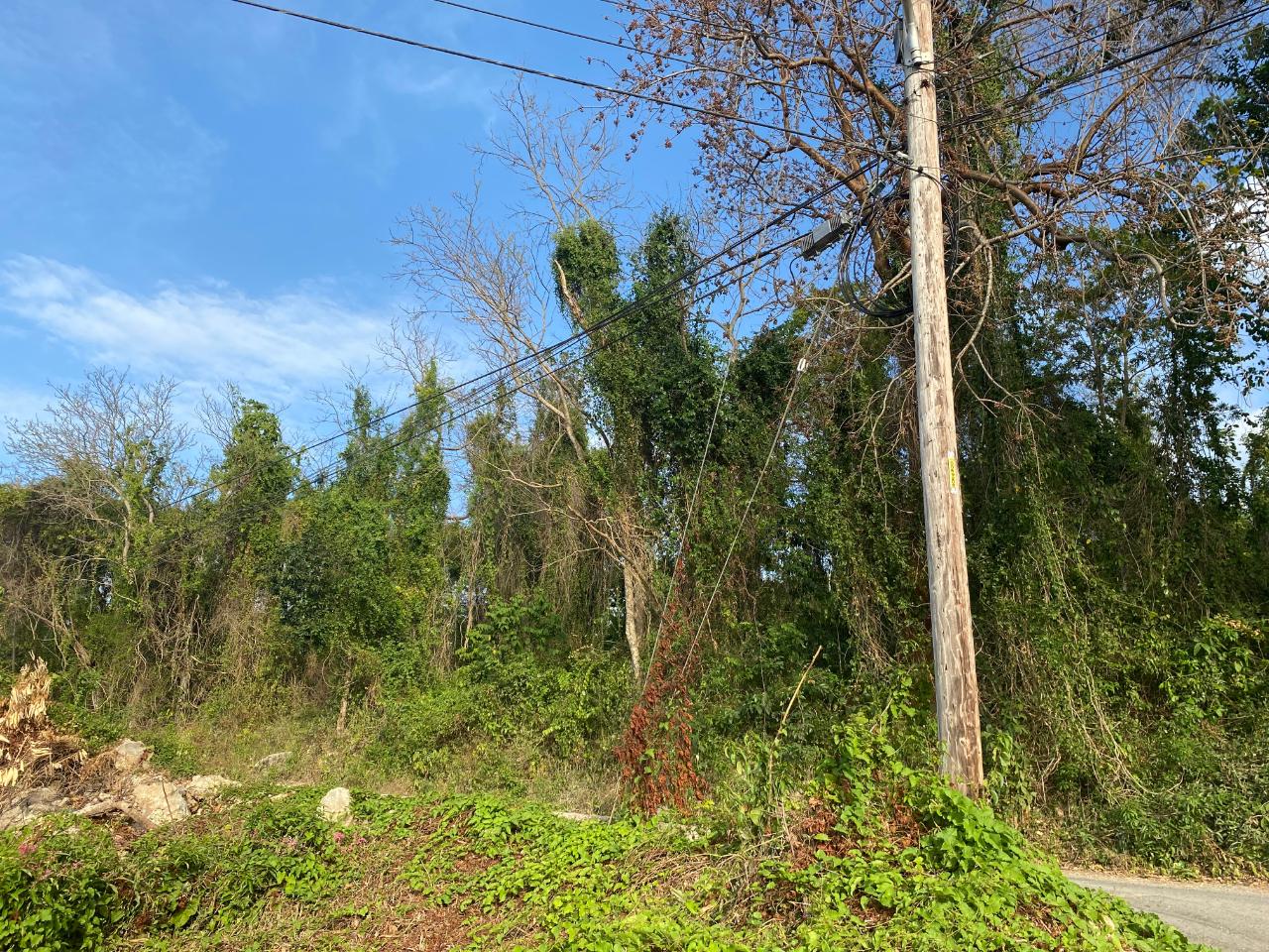 Residential Lot For Sale CARDIFF HALL, JAMAICA, Runaway Bay 225,777