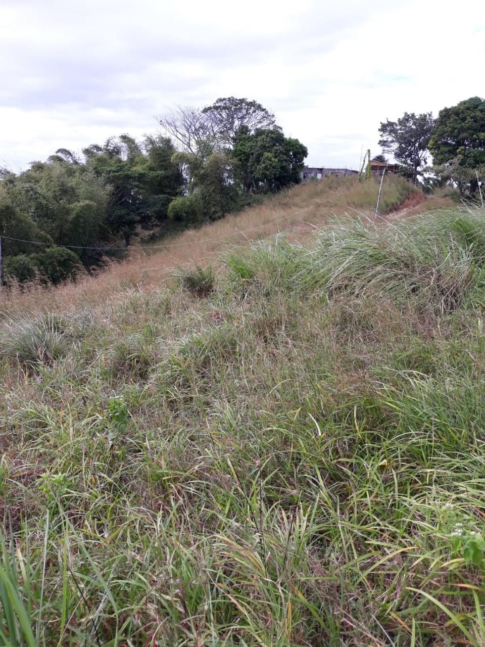 Development Land (Residential) For Sale CALDWELL, HANOVER, Green