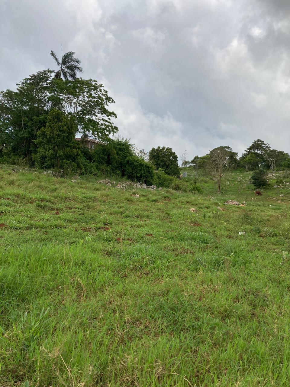 Residential Lot For Sale LAND PART OF CEDAR GROVE,, Mandeville