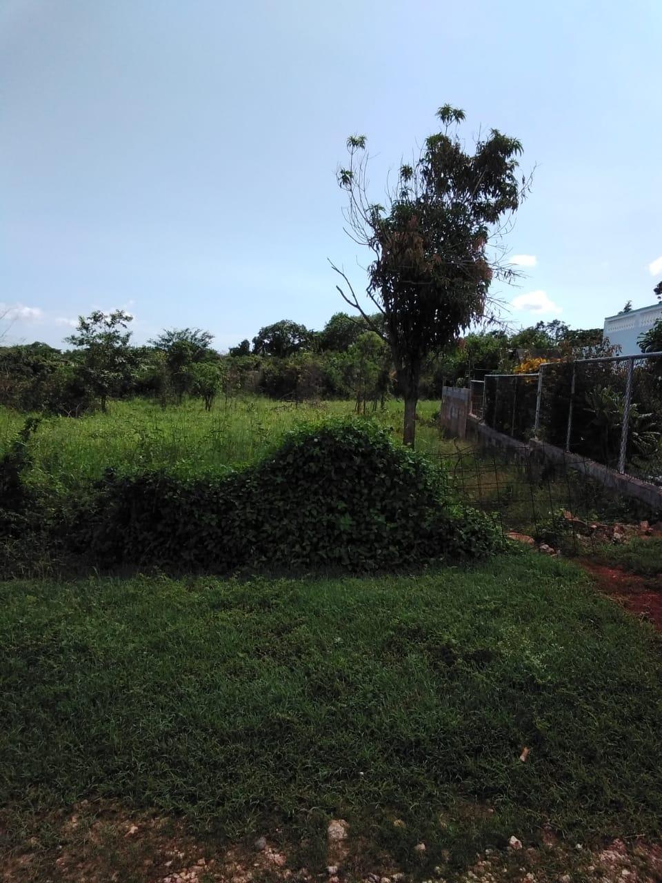 Residential Lot For Sale BELLEVUE HEIGHTS, Spanish Town 5,500,000