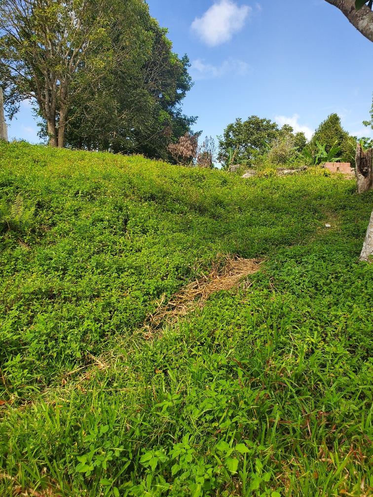 Residential Lot For Sale GUYS HILL, Guys Hill 3,500,000 Keez