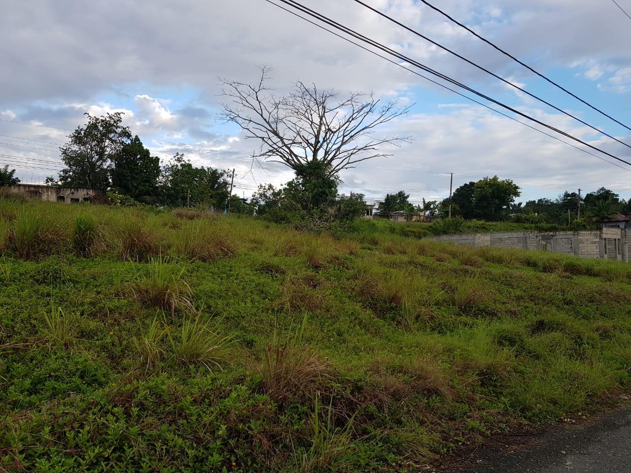 Residential Lot For Sale HERON PRESERVE EXCHANGE, Ocho Rios