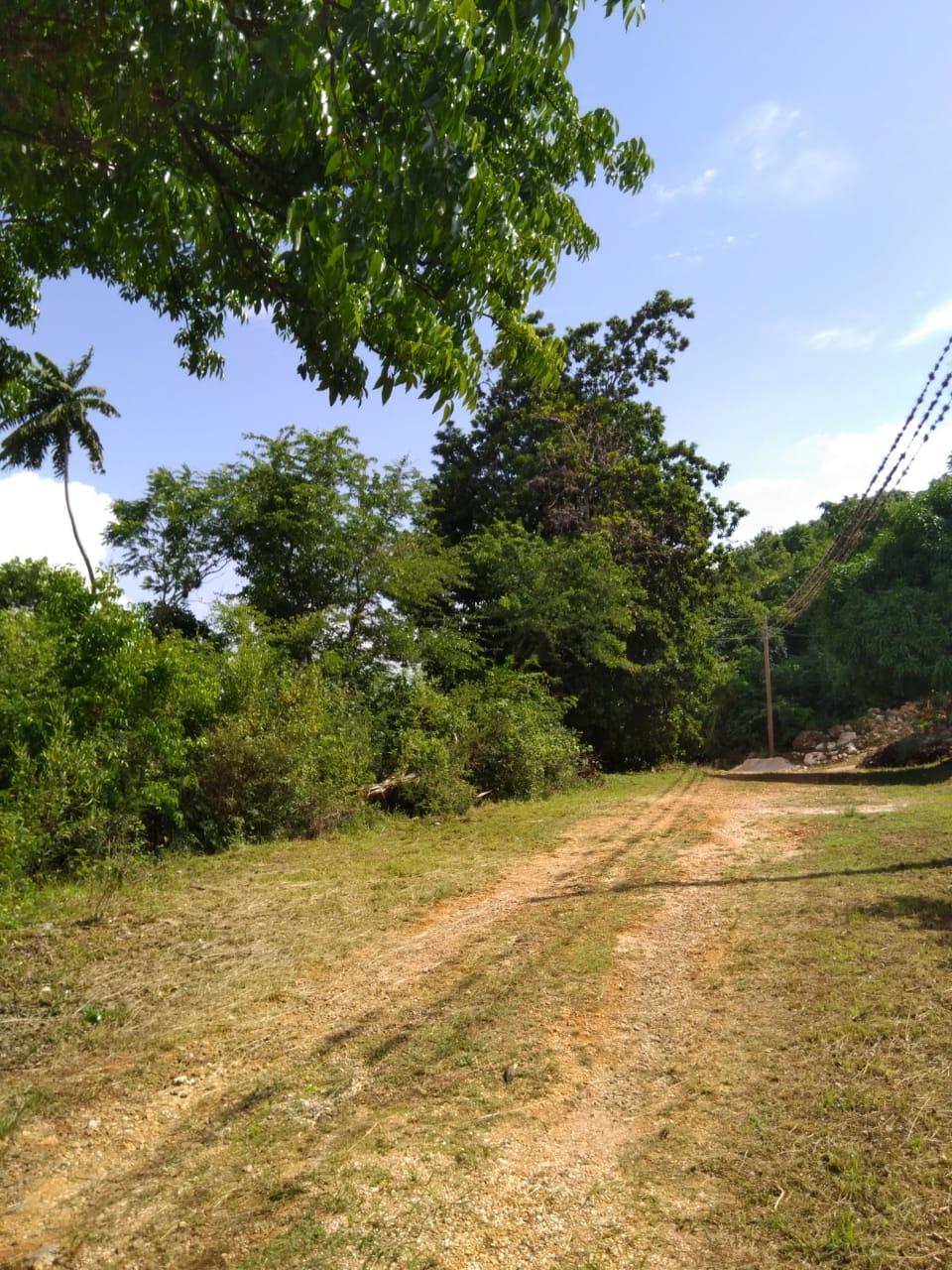 Development Land (Residential) For Sale EGLINTON, SPUR TREE, Spur Tree