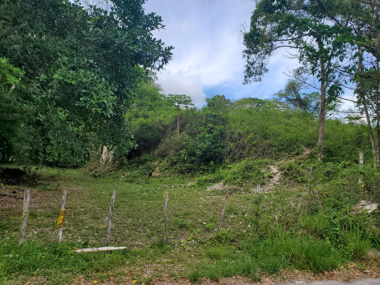 Development Land (Residential) For Sale CHILDEMAS, ST. JAMES, Anchovy