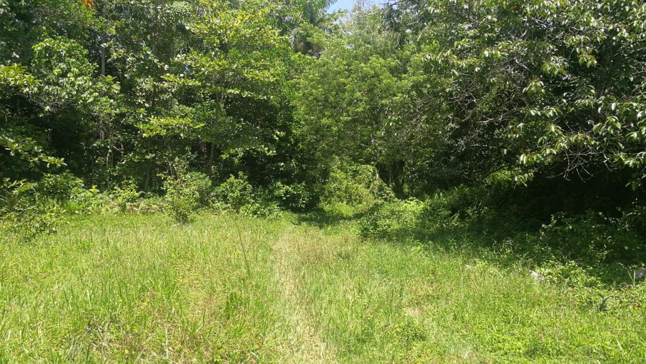Residential Lot For Sale HARMONY HALL, Ocho Rios 6,100 Keez