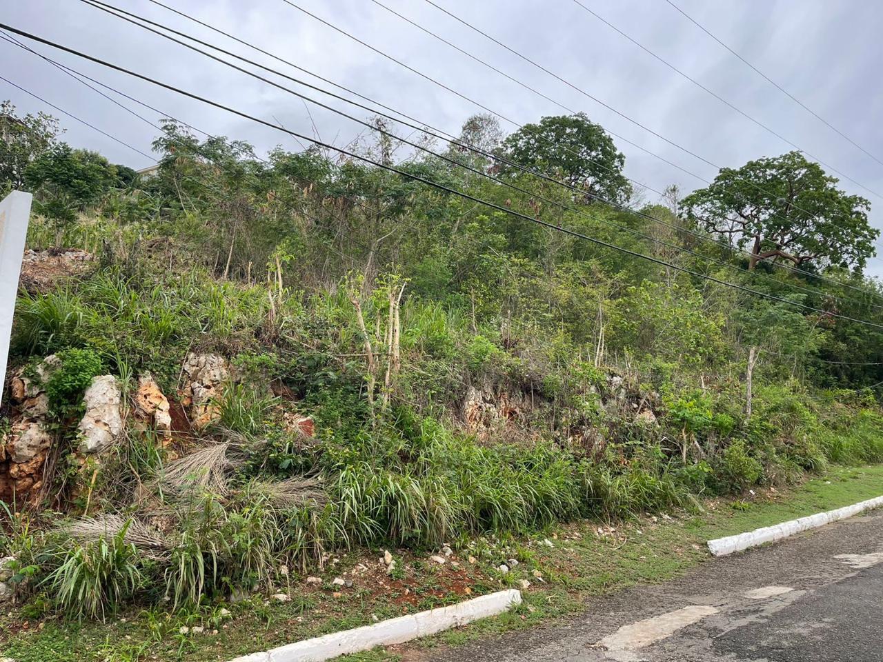 Residential Lot For Sale ELLESMERE DRIVE, CHANCERY, Kingston 19