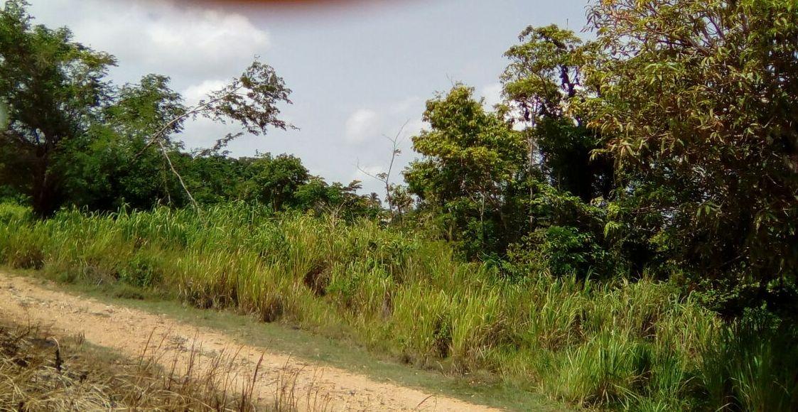 Development Land (Residential) For Sale HUDDERSFIELD, Boscobel 40,000,000 Keez