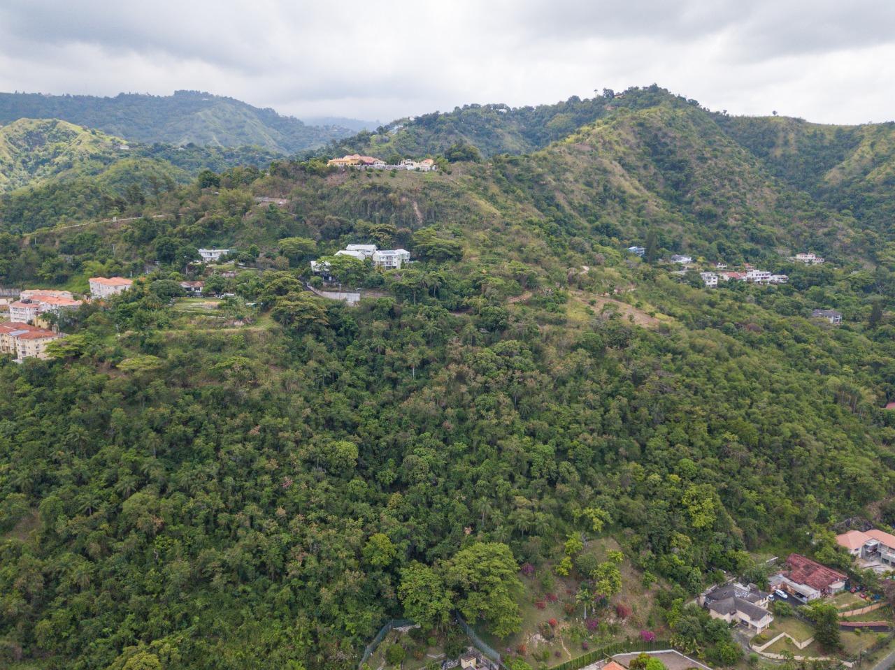 Development Land (Residential) For Sale 155 JACKS HILL ROAD, Kingston