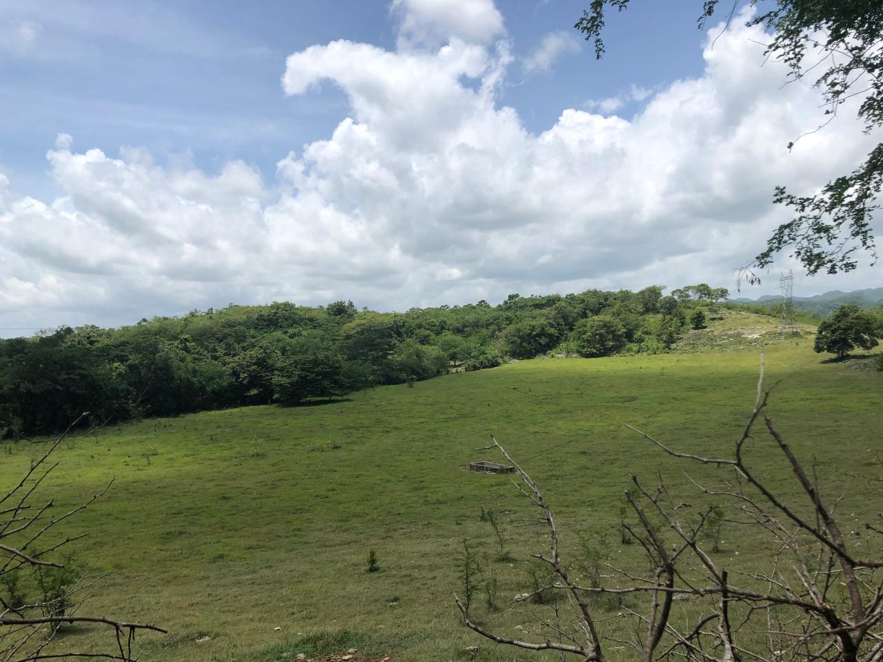 Development Land (Residential) For Sale CONTENT ADELPHI, Montego Bay