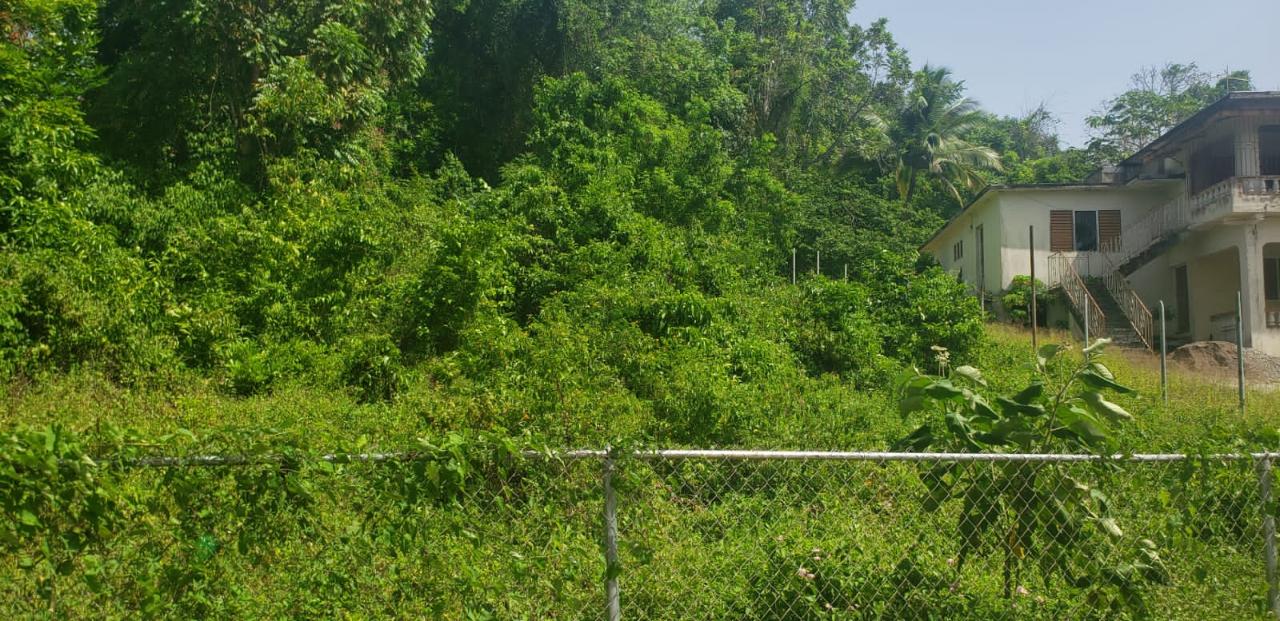 Residential Lot For Sale GREAT POND, Ocho Rios 9,000,000 Keez
