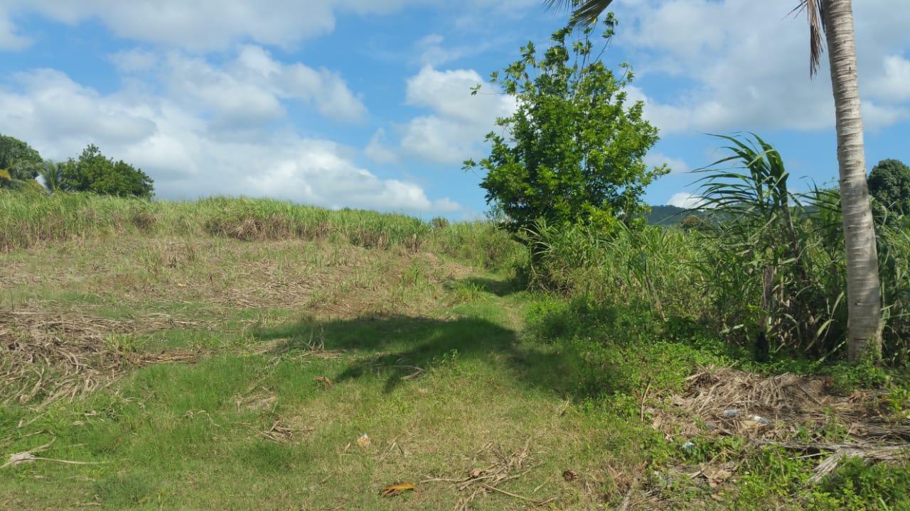 Residential Lot For Sale: TORADO HEIGHTS, Montego Bay | $90,000 | Keez