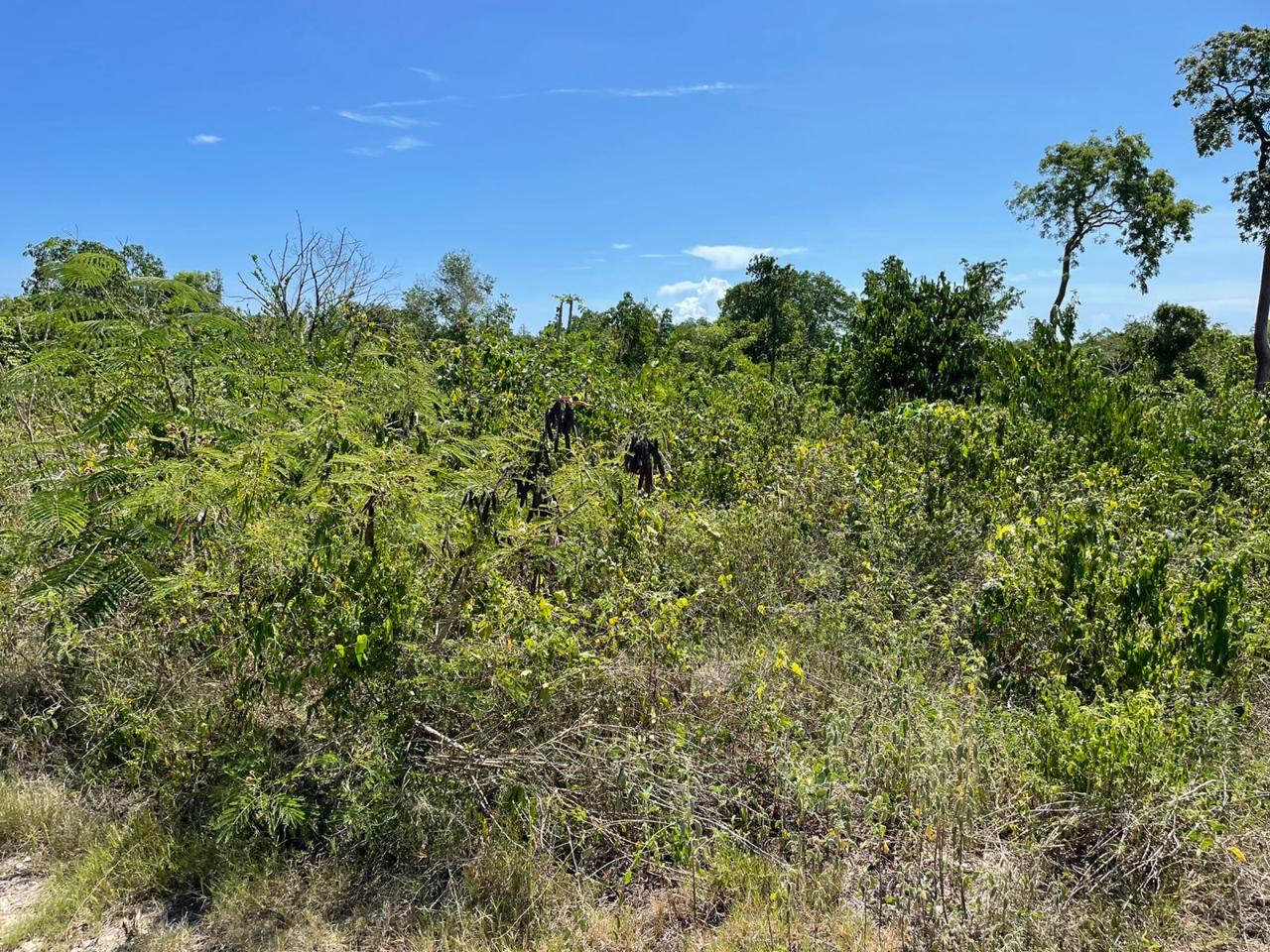 Residential Lot For Sale 436 DUNCAN BAY, TRELAWNY, Duncans 65,000