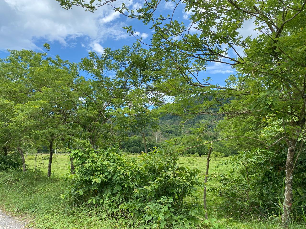 Development Land (Residential) For Sale LOT 22 PARADISE HOPE BAY, Hope