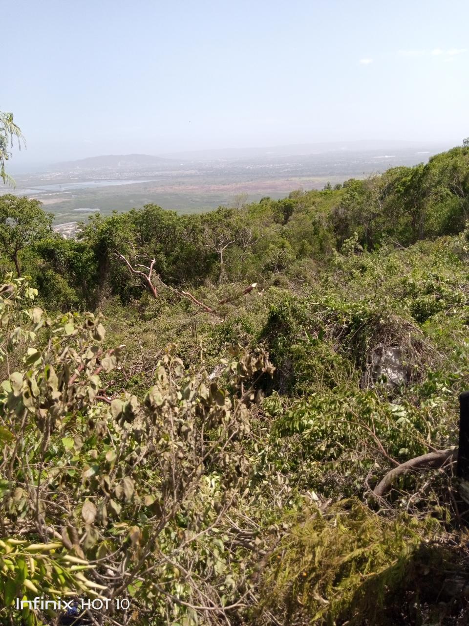 Development Land (Residential) For Sale ELMWOOD DRIVE, Kingston 19 8,000,000 Keez