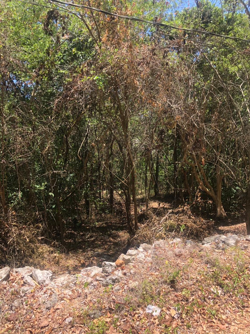 Residential Lot For Sale LAND PART OF DUMBARTON, Discovery Bay