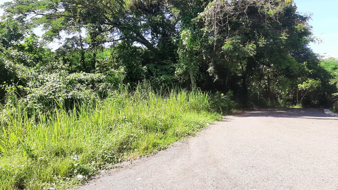 Residential Lot For Sale UNITY HALL, ST JAMES, Montego Bay 75,000 Keez